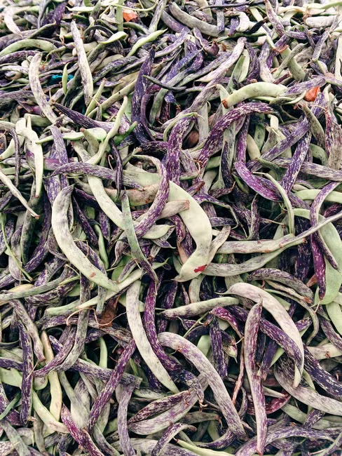 Cesta de Frutas Selecionadas